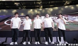 爆料狼队假赛视频,独家视频揭露惊人内幕